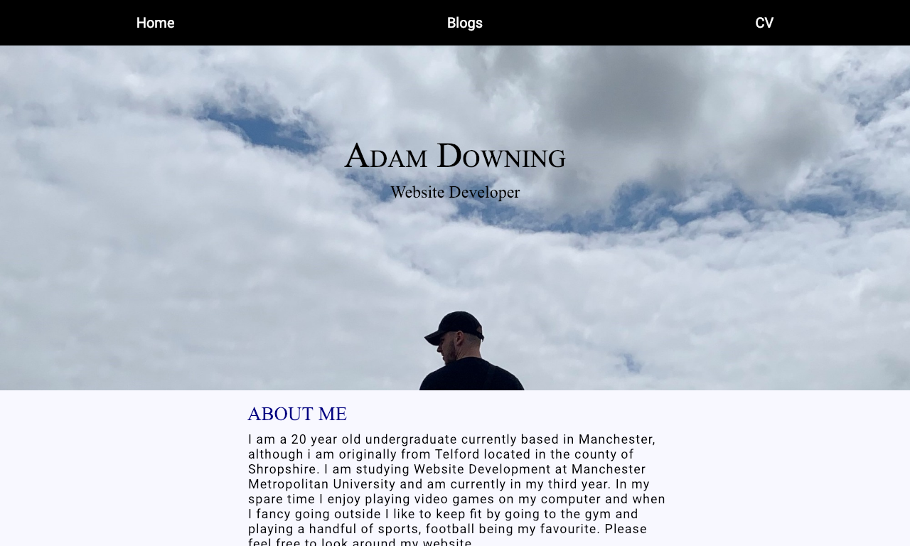 Portfolio website created by Adam Downing